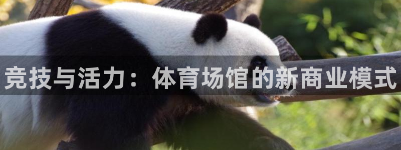 凯时app赢AG发财网来就送38