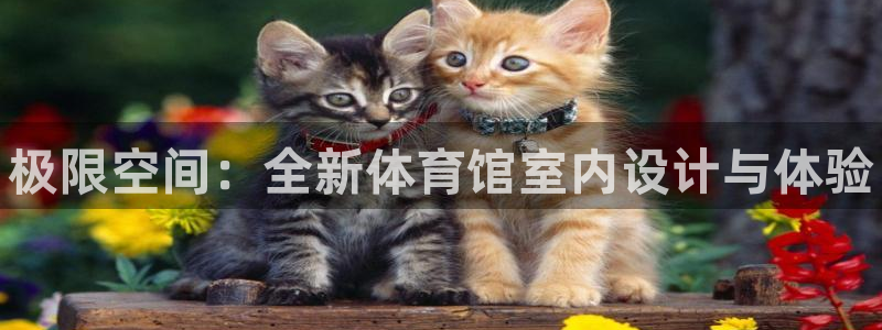 尊龙凯时几百万怎么下