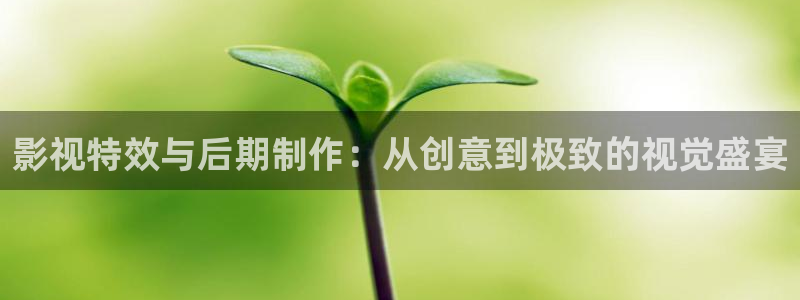 天龙影院免费：影视特效与后期制作：从创意到极致的视觉盛宴