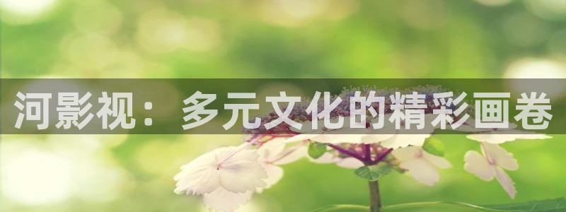 天龙电影在线看