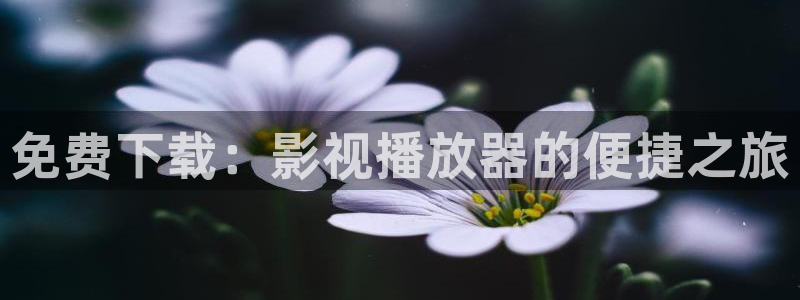 国产剧天龙高清影院