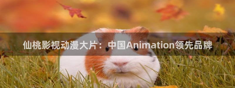 天龙2888：仙桃影视动漫大片：中国Animation领先品牌