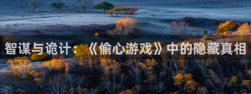 天龙影院电视剧在线观看：智谋与诡计：《偷心游戏》中的隐藏真相