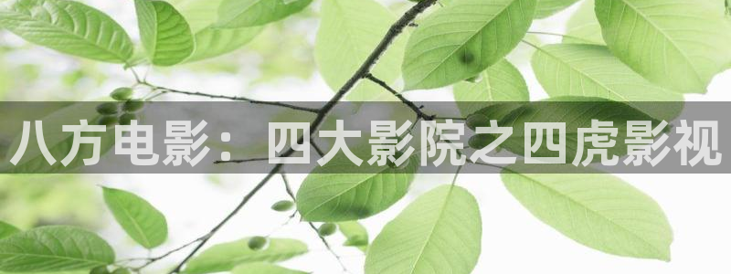 泽艺影城天龙影院