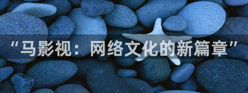天龙影院免费在线观看电视剧：“马影视：网络文化的新篇章”