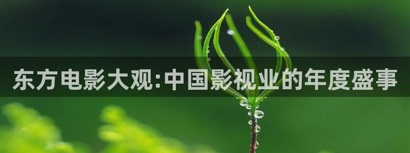 天龙影视大全：东方电影大观:中国影视业的年度盛事