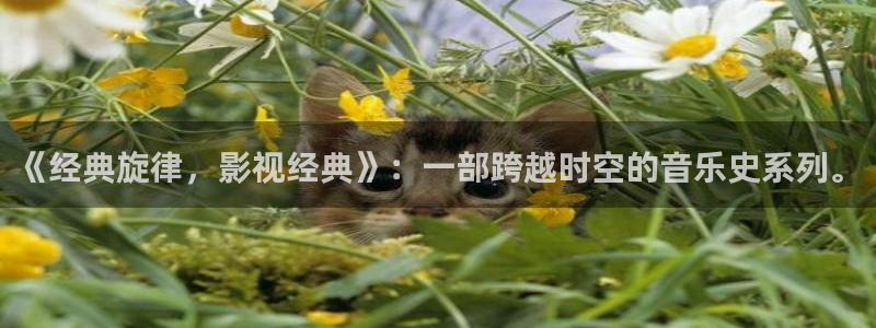 天龙影院手机版