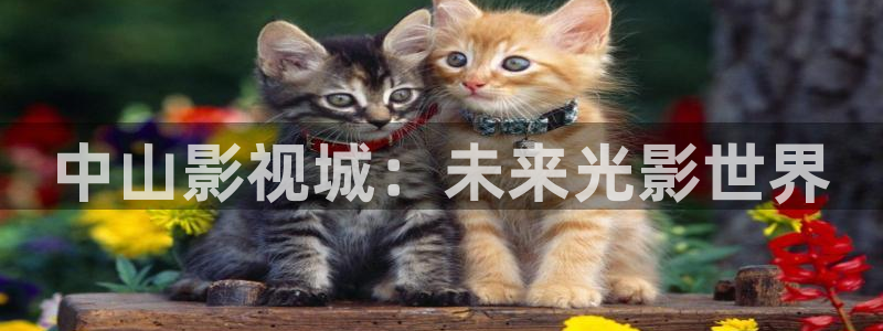 天龙影院在线观看：中山影视城：未来光影世界