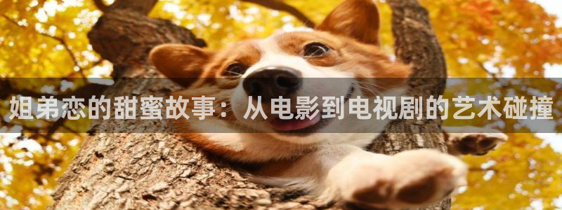 天龙吧