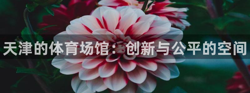 尊龙体育电竞官网