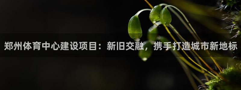 ag尊龙凯时俱乐部