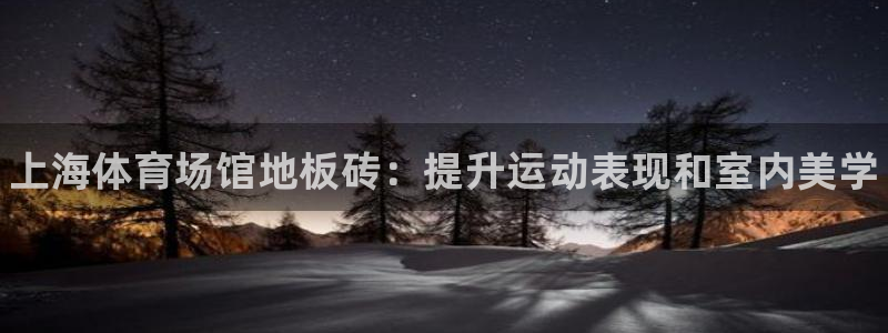 尊龙凯时官方网页：上海体育场馆地板砖：提升运动表现和室内美学
